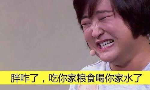 为了吃瓜吃进了娱乐圈